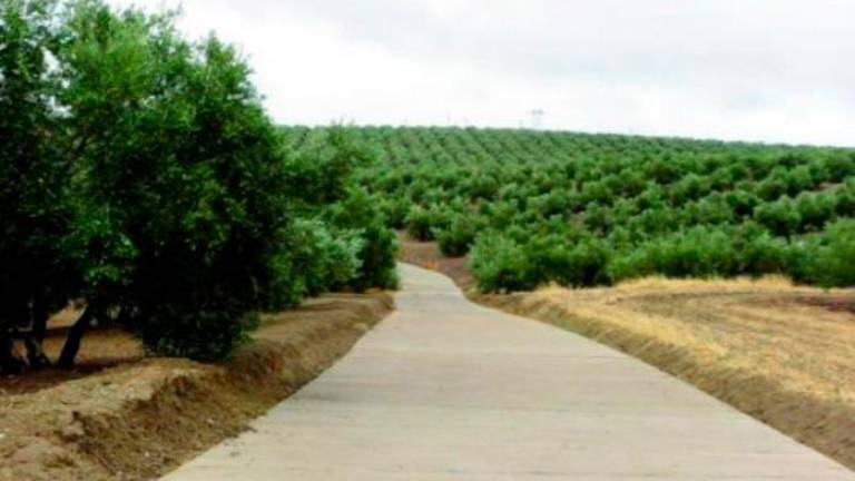 ¿Más agricultura? ¿Más agricultura?
