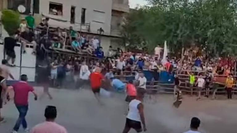Varios sustos en el primer encierro de vaquillas en Noalejo Varios sustos en el primer encierro de vaquillas en Noalejo