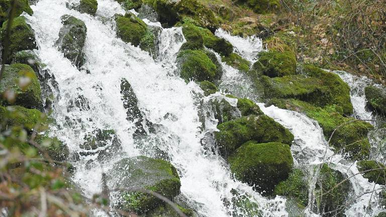 Un reina por fuente en Valdeazores Un reina por fuente en Valdeazores