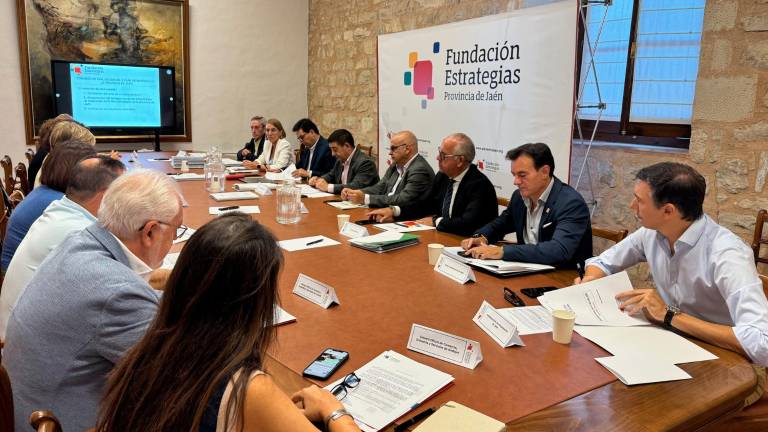El 49% de los objetivos del II Plan Estratégico tiene una consecución media-alta El 49% de los objetivos del II Plan Estratégico tiene una consecución media-alta