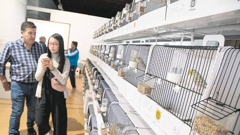 El Concurso Ornitológico reúne a 80 criadores El Concurso Ornitológico reúne a 80 criadores