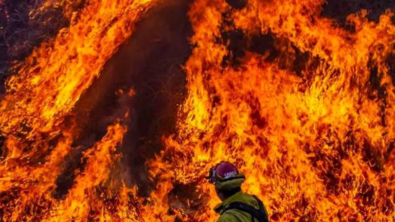El incendio del norte de California es ya el segundo más grande de la historia tras devastar 400.000 hectáreas El incendio del norte de California es ya el segundo más grande de la historia tras devastar 400.000 hectáreas