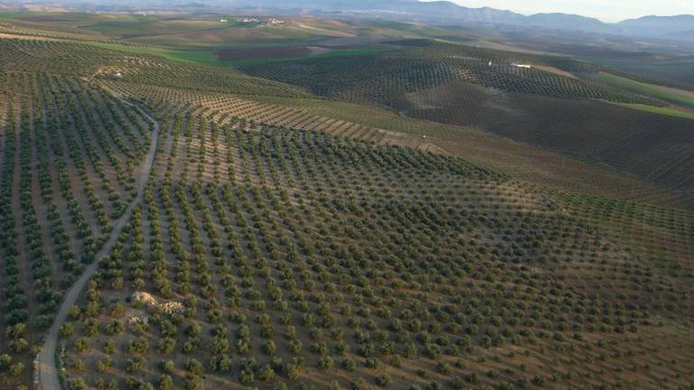 Andalucía está de celebración. Escuchen a los Ecos del Rocío cantar a Jaén Andalucía está de celebración. Escuchen a los Ecos del Rocío cantar a Jaén