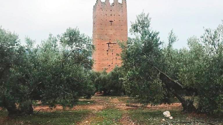 Las torres de Santa Catalina de Orcera, al Defensor del Pueblo Las torres de Santa Catalina de Orcera, al Defensor del Pueblo