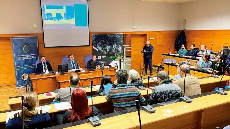 Soil O-Live: Dime cómo está el suelo del olivar y te diré si dará buen aceite Soil O-Live: Dime cómo está el suelo del olivar y te diré si dará buen aceite