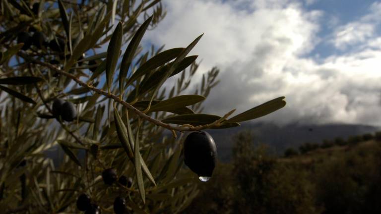 El año hidrológico menos seco El año hidrológico menos seco