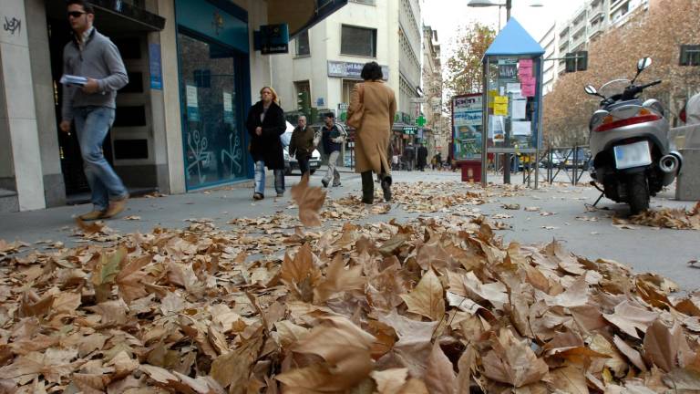 El otoño va a ser más cálido de lo habitual y seco El otoño va a ser más cálido de lo habitual y seco