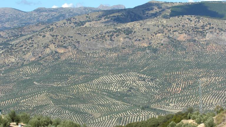 Luz verde a las modificaciones de la Política Agraria Común Luz verde a las modificaciones de la Política Agraria Común