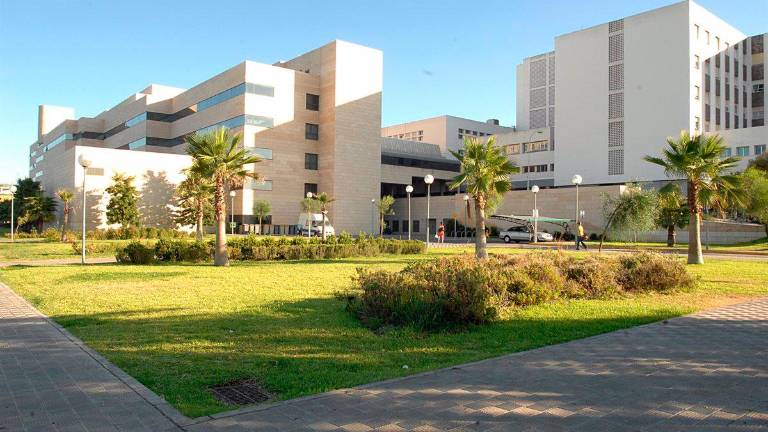 Andalucía registra su primer fallecido por viruela del mono Andalucía registra su primer fallecido por viruela del mono