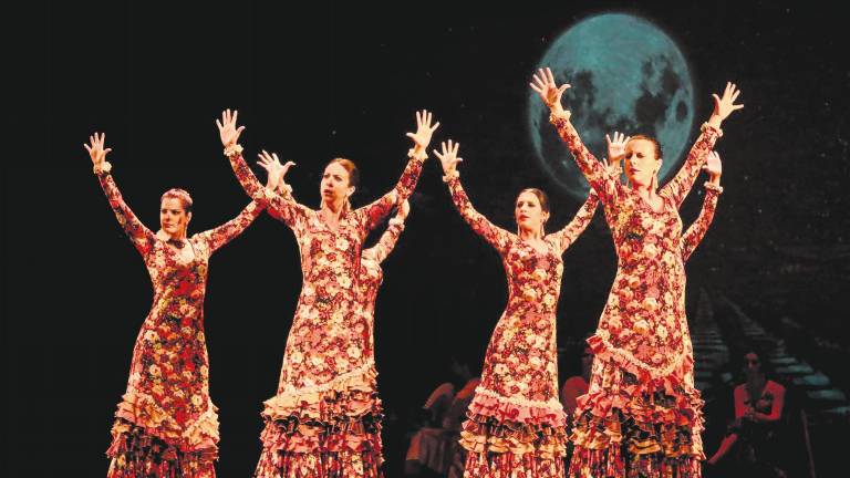 Un día de flamenco con los mejores profesores