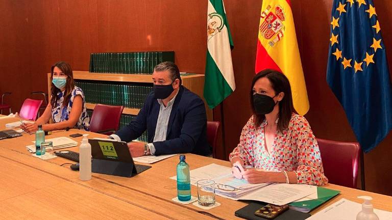 La Junta pide colaboración para que la campaña de aceituna siga siendo segura La Junta pide colaboración para que la campaña de aceituna siga siendo segura
