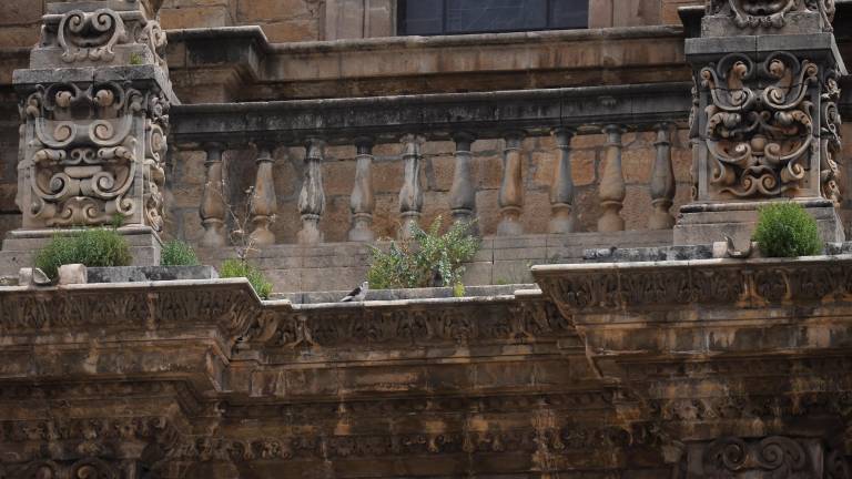 Las hierbas de la Catedral de Jaén serán retiradas en junio Las hierbas de la Catedral de Jaén serán retiradas en junio