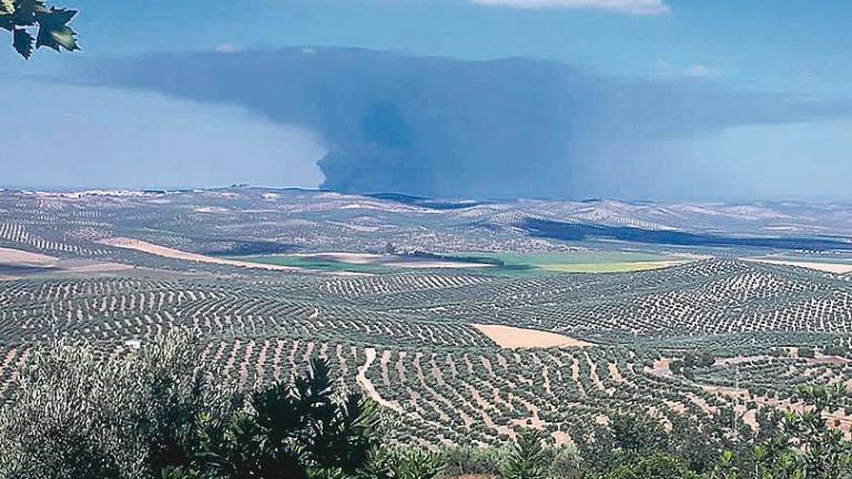 Preocupación por el impacto del gran incendio de Espeluy Preocupación por el impacto del gran incendio de Espeluy