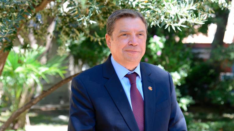 Luis Planas: “El olivar es un sector estratégico de presente y con un gran futuro” Luis Planas: “El olivar es un sector estratégico de presente y con un gran futuro”
