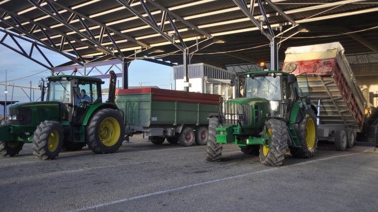 La industria agroalimentaria La industria agroalimentaria