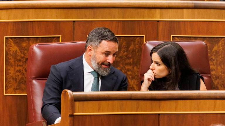 Vox constituye su grupo en el Congreso con Abascal como presidente y Pepa Millán como portavoz Vox constituye su grupo en el Congreso con Abascal como presidente y Pepa Millán como portavoz