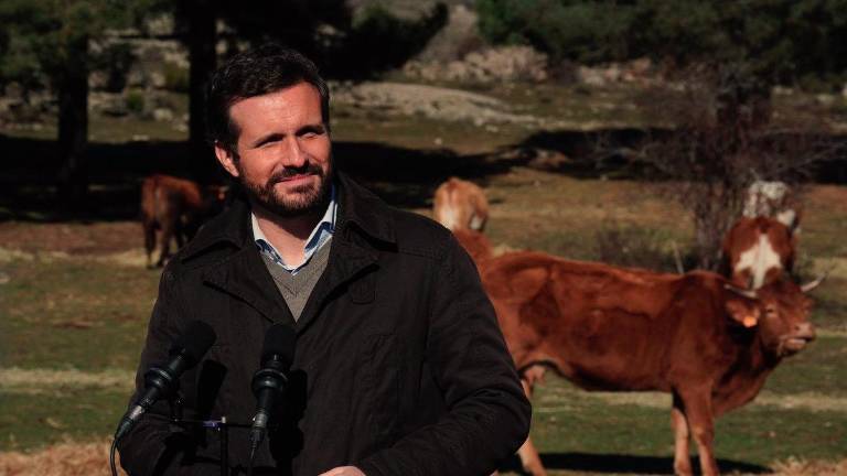 Casado muestra su apoyo a todas las ganaderías Casado muestra su apoyo a todas las ganaderías