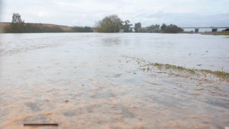 Siete carreteras andaluzas permanecen cortadas al tráfico por inundaciones, cuatro en Cádiz Siete carreteras andaluzas permanecen cortadas al tráfico por inundaciones, cuatro en Cádiz