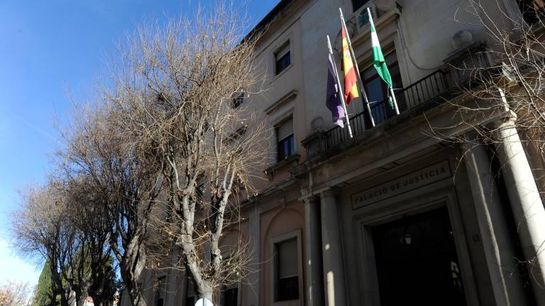 Más de cien condenas por violencia de género en la provincia Más de cien condenas por violencia de género en la provincia