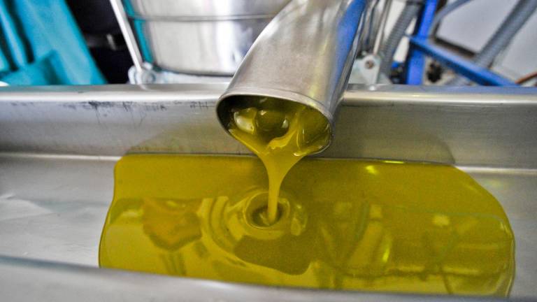 La media del precio del aceite en la presente campaña se sitúa en los 7,66 euros La media del precio del aceite en la presente campaña se sitúa en los 7,66 euros
