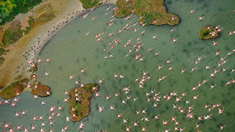 Unesco apremia a tomar medidas en Doñana para evitar la Lista del Patrimonio en Peligro Unesco apremia a tomar medidas en Doñana para evitar la Lista del Patrimonio en Peligro