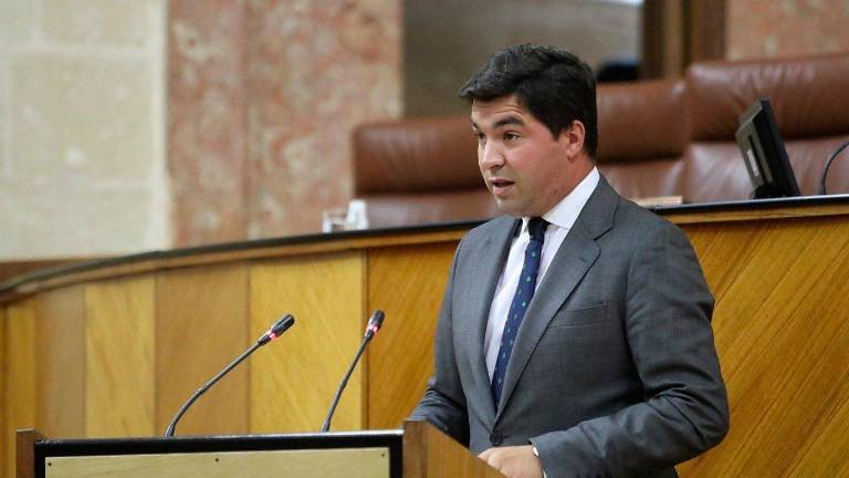 Cs exige al Gobierno una “mayor y necesaria” autorregulación del aceite de oliva Cs exige al Gobierno una “mayor y necesaria” autorregulación del aceite de oliva