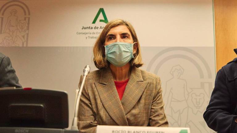 Ayudas directas a empresas, autónomos y ERTE Ayudas directas a empresas, autónomos y ERTE