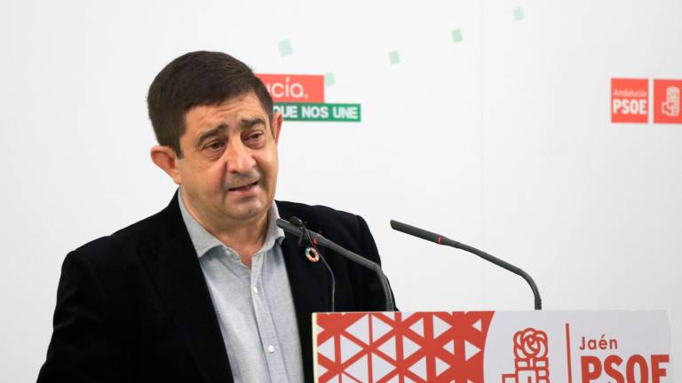 Francisco Reyes: “Es una estrategia para poner a María Cantos de alcaldesa” Francisco Reyes: “Es una estrategia para poner a María Cantos de alcaldesa”