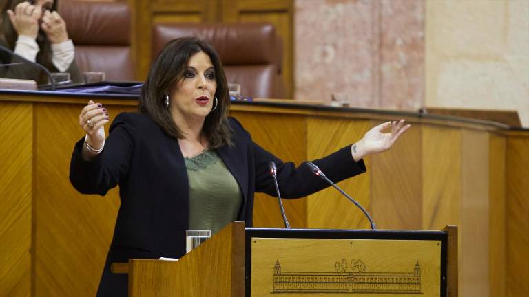 Suspendido el Pleno del Parlamento por una bronca entre el consejero de Turismo y la jiennense Ángeles Férriz Suspendido el Pleno del Parlamento por una bronca entre el consejero de Turismo y la jiennense Ángeles Férriz