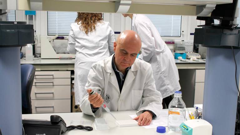 El aceite previene el cáncer rectal El aceite previene el cáncer rectal