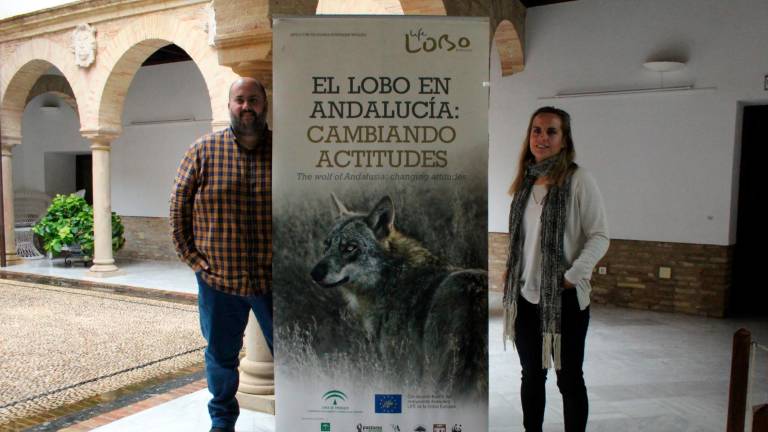 La muestra “Otila” busca enseñar la vida del lobo La muestra “Otila” busca enseñar la vida del lobo