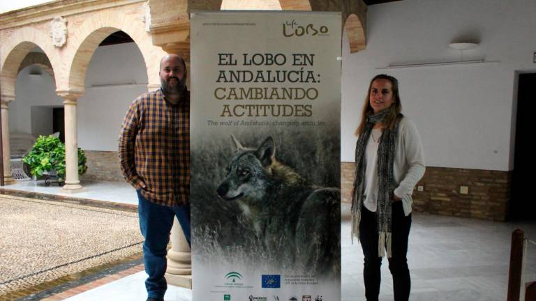 La muestra “Otila” busca enseñar la vida del lobo