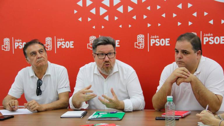 Rodrigo Sánchez: “La revolución verde andaluza es impostada de propaganda” Rodrigo Sánchez: “La revolución verde andaluza es impostada de propaganda”