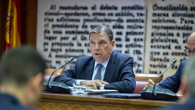 Planas dice que el arancel de EEUU no impedirá “seguir exportando intensamente” Planas dice que el arancel de EEUU no impedirá “seguir exportando intensamente”