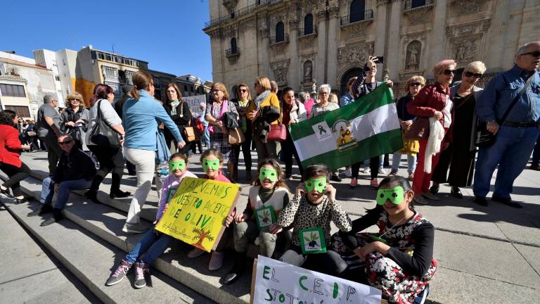 Los agricultores jiennenses alzan la voz en sus plazas Los agricultores jiennenses alzan la voz en sus plazas