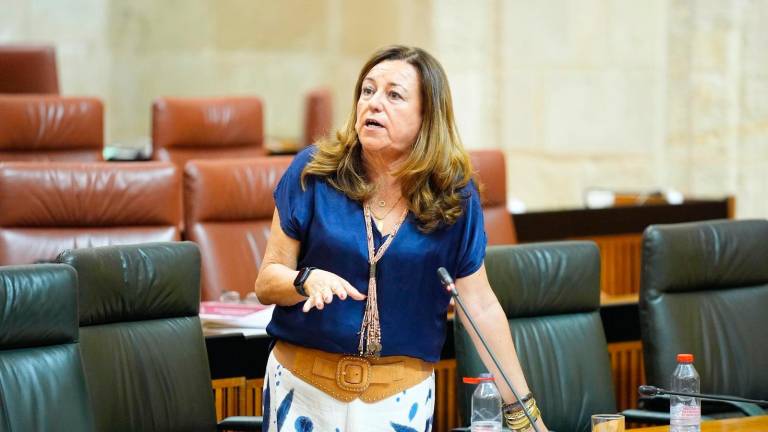 La Junta rechaza la proposición de ley del PSOE-A para bajar la ratio en la educación andaluza La Junta rechaza la proposición de ley del PSOE-A para bajar la ratio en la educación andaluza