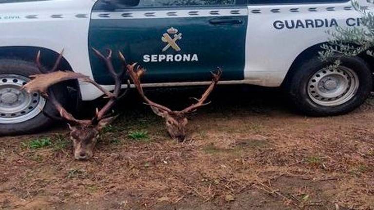 La Guardia Civil intensifica controles e investigaciones contra la caza furtiva La Guardia Civil intensifica controles e investigaciones contra la caza furtiva