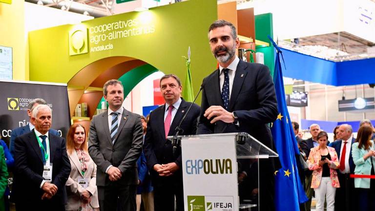 Fernández-Pacheco ve “mal” fragmentar proyectos solares para evitar su catalogación como megaplantas Fernández-Pacheco ve “mal” fragmentar proyectos solares para evitar su catalogación como megaplantas