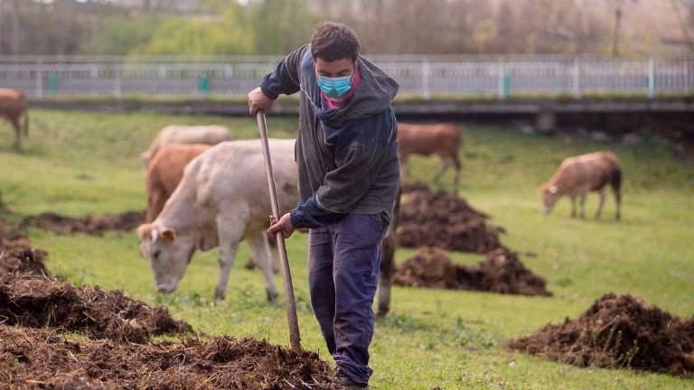 La Fundación Savia pide un PERTE para los Pastos, la Dehesa y la Ganadería Extensiva La Fundación Savia pide un PERTE para los Pastos, la Dehesa y la Ganadería Extensiva