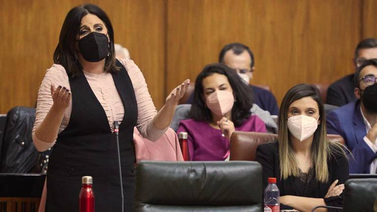El PSOE urgirá un plan integral de lucha contra la pobreza infantil El PSOE urgirá un plan integral de lucha contra la pobreza infantil