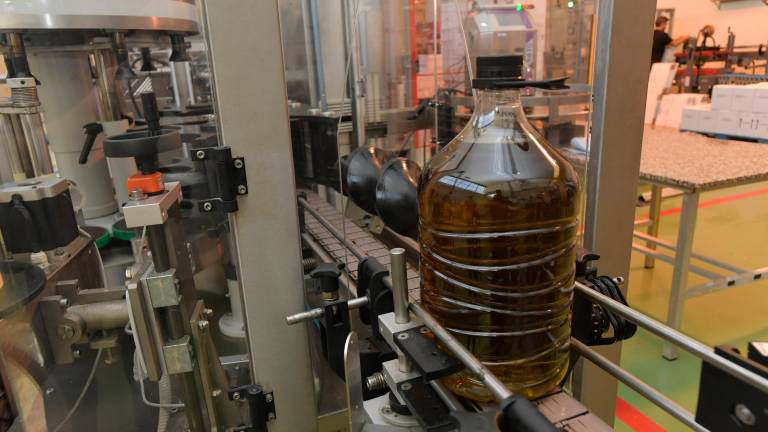 El precio del aceite desciende un 48% desde abril de 2024 El precio del aceite desciende un 48% desde abril de 2024
