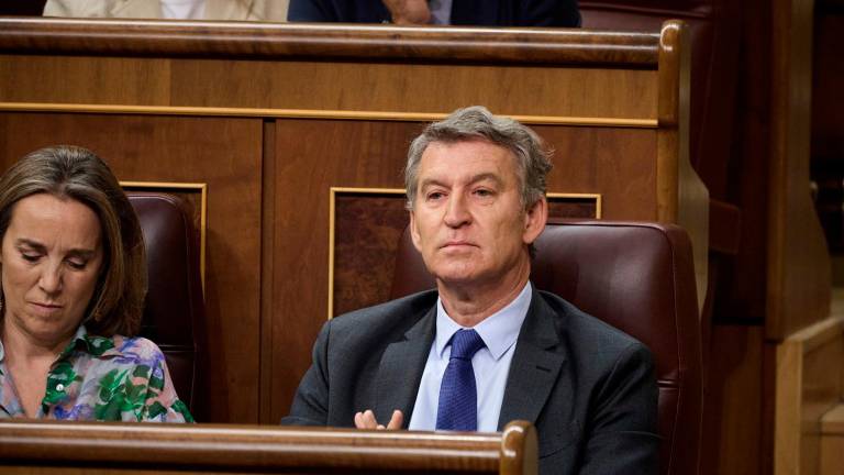 Feijóo inicia contactos con los socios del PSOE para explorar una moción de censura Feijóo inicia contactos con los socios del PSOE para explorar una moción de censura
