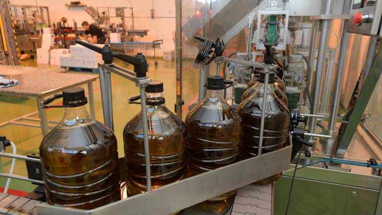 Garantizada la disponibilidad de aceite de oliva hasta el final de campaña Garantizada la disponibilidad de aceite de oliva hasta el final de campaña