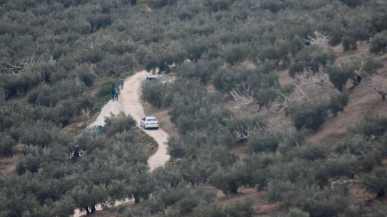 Un tractor causa la muerte de un vecino de Valdepeñas Un tractor causa la muerte de un vecino de Valdepeñas