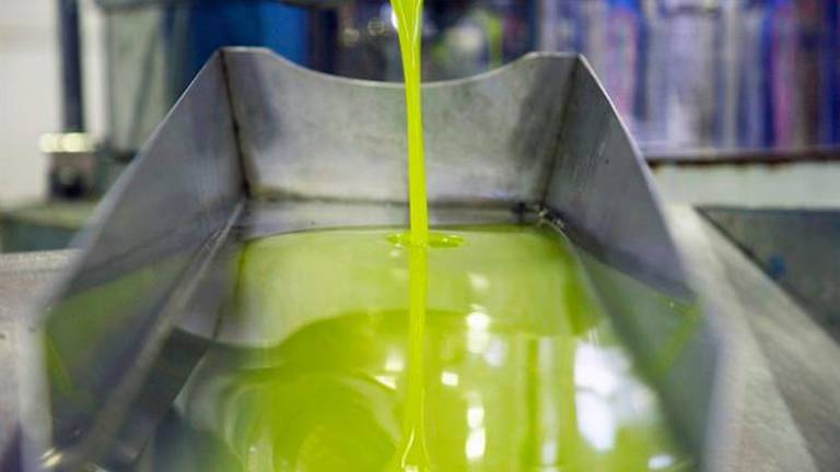 Asaja considera una irresponsabilidad la protesta por los precios del aceite Asaja considera una irresponsabilidad la protesta por los precios del aceite