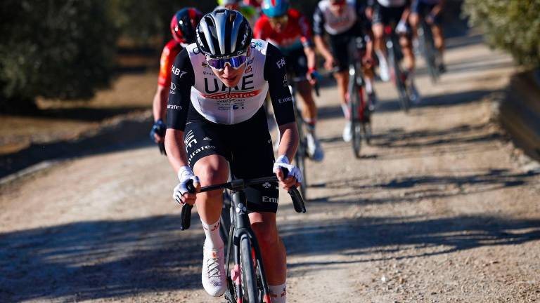 11 y 12 de febrero de 2024, fechas de la Clásica Jaén Paraíso Interior y de su Gran Fondo entre olivos 11 y 12 de febrero de 2024, fechas de la Clásica Jaén Paraíso Interior y de su Gran Fondo entre olivos