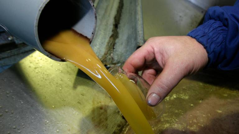 Estados Unidos, Brasil y Japón, los destinos favoritos del aceite Estados Unidos, Brasil y Japón, los destinos favoritos del aceite