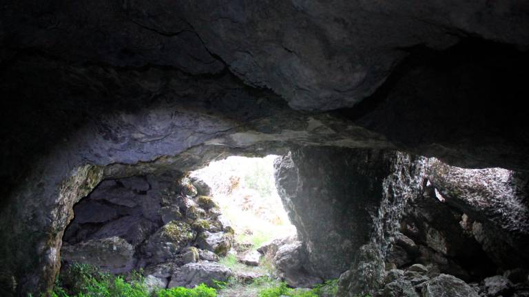 En la cueva del jabalí En la cueva del jabalí