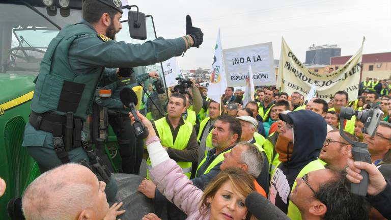 Unión olivarera en La Campiña para asegurar el futuro del sector Unión olivarera en La Campiña para asegurar el futuro del sector