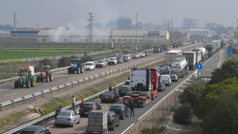 Unión olivarera en La Campiña para asegurar el futuro del sector Unión olivarera en La Campiña para asegurar el futuro del sector